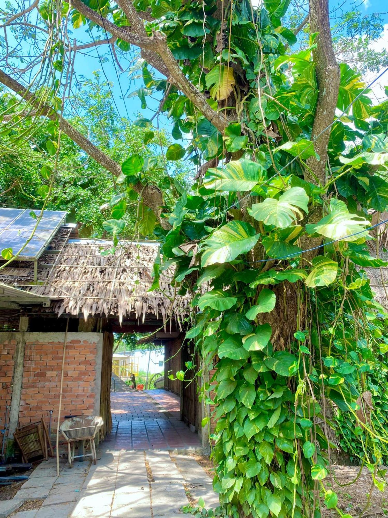 Hometravel Mekong Can Tho Exterior photo